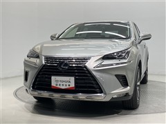 NX300h バージョンL