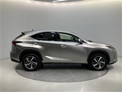 NX300h バージョンL