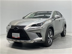 NX300h バージョンL