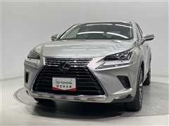 NX300h バージョンL