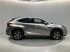 NX300h バージョンL