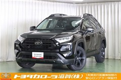 RAV4アドベンチャーオフロードP