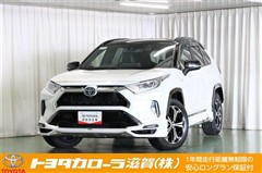 トヨタ RAV4 PHV ブラックトーン
