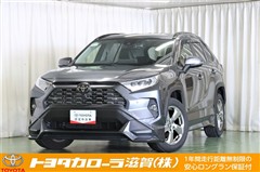 RAV4 G