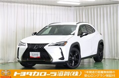 UX250h アーバンエレガンス