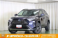 RAV4 HV G