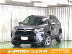 RAV4 X