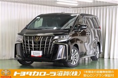 トヨタ アルファードS タイプゴールド3