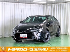 トヨタ カローラ WXB