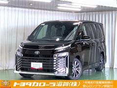 ヴォクシー S-Z