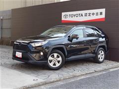 RAV4 X
