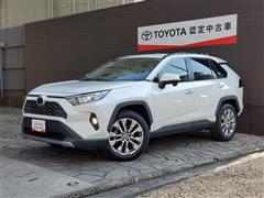RAV4 G Zパッケージ