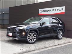 RAV4 G Zパッケージ