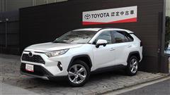RAV4 G