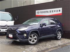 RAV4 G