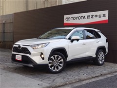 RAV4 G Zパッケージ