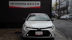 カローラツーリング ダブルバイヒ