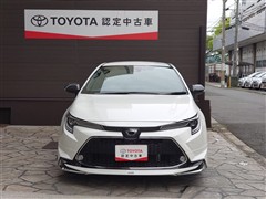 カローラツーリング WxB