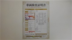 ヴォクシー ハイブリッド S-Z