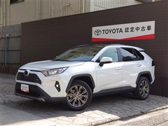 RAV4 G