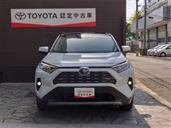 RAV4 G
