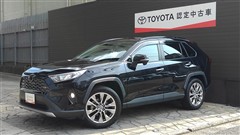 RAV4 G Zパッケージ