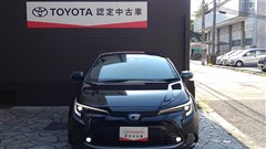 カローラツーリング HEV WxB