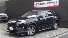 RAV4 X
