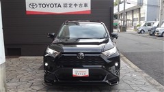 RAV4 X