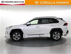 RAV4 G