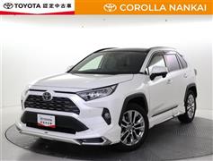RAV4 G Zパッケージ