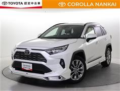 RAV4 G Zパッケージ