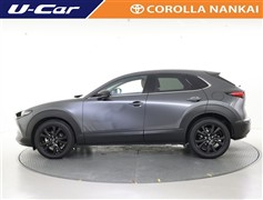 CX-30 20Sレトロスポーツエデ