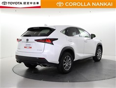 NX300 Iパッケージ