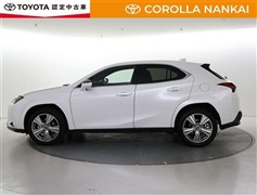 UX250h グレイスフル エクスプ