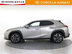 UX250h version L