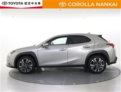 UX250h version L