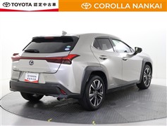 UX250h version L