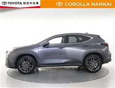 NX350h
