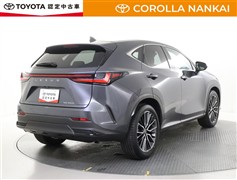 NX350h