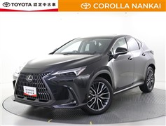 NX250