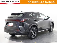 NX250