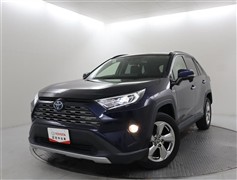 RAV4 HV G