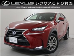 NX300h バージョンL