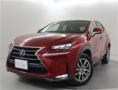 NX300h バージョンL