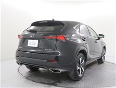 NX300 スパイスアンドシック