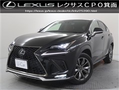 NX300 Fスポーツ