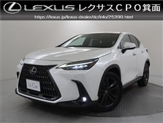 レクサス　NX250 バージョンL