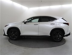 NX250 バージョンL