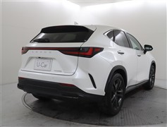 NX250 バージョンL